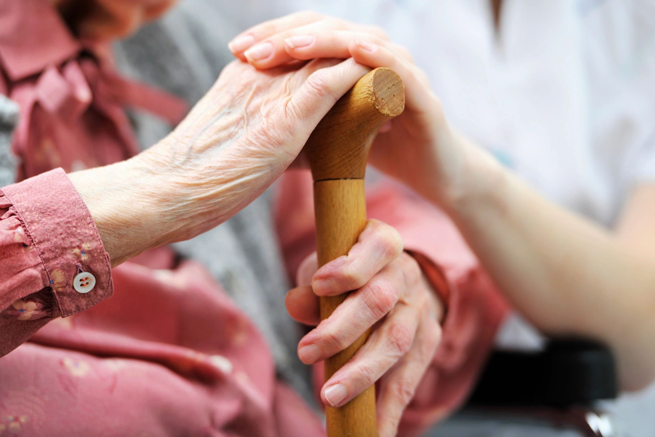 Elderly Recoveries Spark Hope